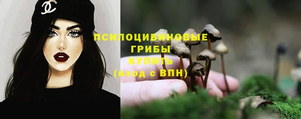 СК Билибино