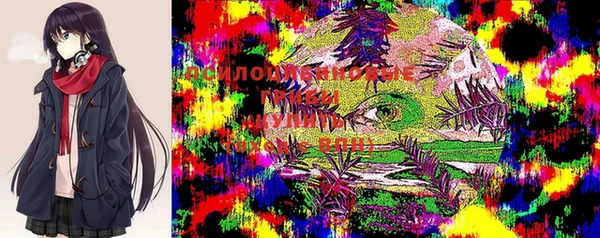 трава Ладушкин
